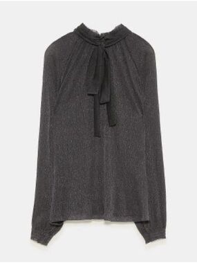 ZARA Women's Shimmer Sheer Tie-Neck Long-Sleeve Top Size Medium
